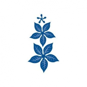 http://scrapkowo.pl/shop,wykrojnik-poinsencja,10.html