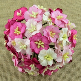 http://scrapkowo.pl/shop,kwiaty-jabloni-rozowe-mix-5szt,4805.html