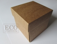 Exploding box mini album- kraft
