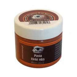 SEEART pasta efekt rdzy 50ml 03 RDZAWY BRĄZ