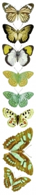 Sunday- motyle to- zielone