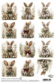 Papier ry�owy AA-SSPRING-RP-01