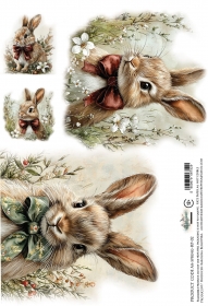 Papier ry�owy AA-SSPRING-RP-02