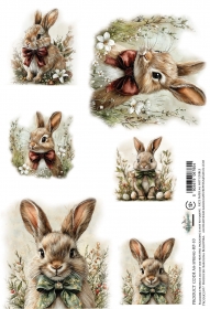 Papier ry�owy AA-SSPRING-RP-10