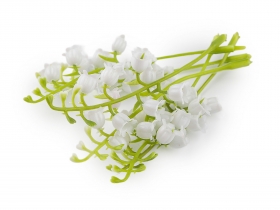 Ga��zka sztuczna konwalia 5szt.