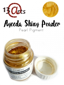 Shiny Powder 22ml (Pigment per³owy) Royal Gold Sat