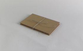 Album harmonijka 115x165 kraft