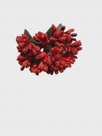 Pr�ciki ga��zka 12szt. czerwie� ry�yk kaszka buki