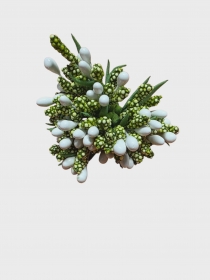 Pr�ciki ga��zka 12szt ZIELONO-BIA�Y ry�yk kaszka