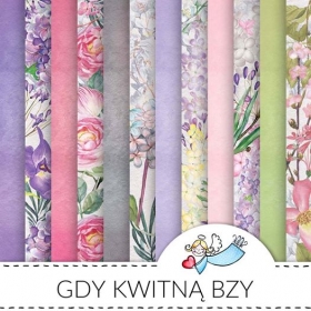 Zestaw papierów Gdy kwitną bzy 6szt.