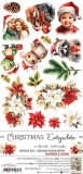 CHRISTMAS EVERYWHERE- dodatki FLOWERS CC-C69-CE-11