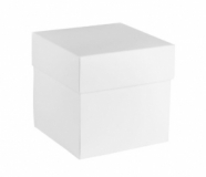 PUDEKO EXPLODING BOX - BIAE - 10x10x10