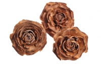Cedar Rose susz egzotyczny ró¿a 4,5-6cm, 2szt.