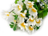 Kwiaty strokrotki materiaowe 5 kwiatw biae