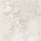 BABY GIRL UNIVERSE- 20x20cm BASIC CC-C83-BGU-08