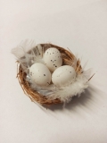 Gniazdo z bia³ymi 3 jajeczkami przepiórczymi 1szt.