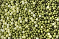 Kuleczki styropianowe 6g mix zielony