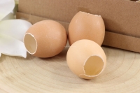 Wydmuszki naturalne jajko kurze 1szt.