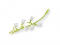 Ga��zka sztuczna konwalia 5szt.