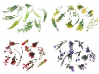 Ga��zka sztuczna listki mix czerwony 11szt.