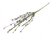 Ga��zka z p�kami bazie fioletowe 40cm 1szt.
