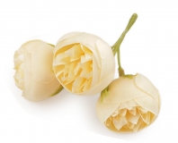 Kwiat materia�owy jaskier peonie 3,5 3szt. KREMOWE