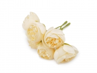 Kwiat materiałowy jaskier peonie 3,5 3szt. KREMOWE