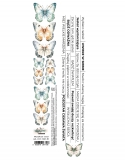 WILD ADVENTURES- pasek 01 5x30cm