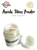 Shiny Powder 22ml (Pigment per³owy) Silver Pearl