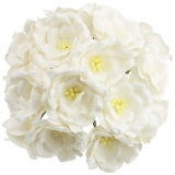 MKX-362 Kwiaty Magnolie - białe 35mm 5szt