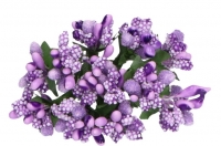 Pr�ciki- ga��zka 12szt. fiolet ry�yk kaszka bukiec