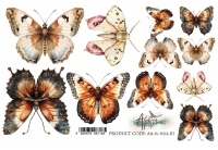 In silence W ciszy A5 FOLIA AA-IS-FOLIA-01